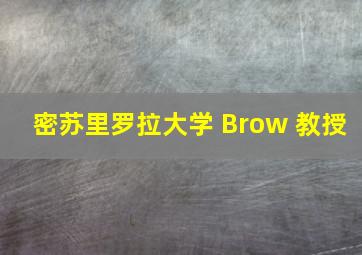 密苏里罗拉大学 Brow 教授